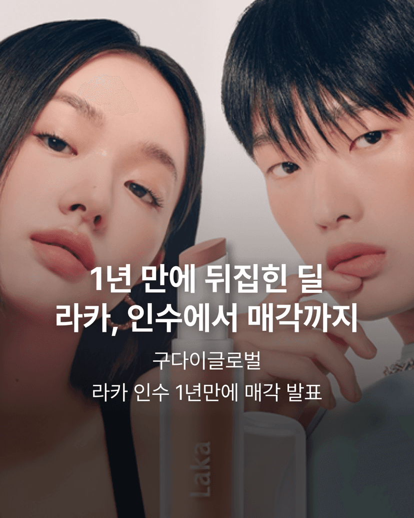 1년 만에 뒤집힌 딜 라카, 인수에서 매각까지